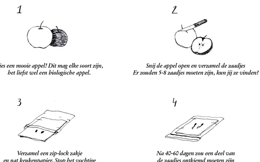Je eigen appelboom planten uit zaad, by ASOP
