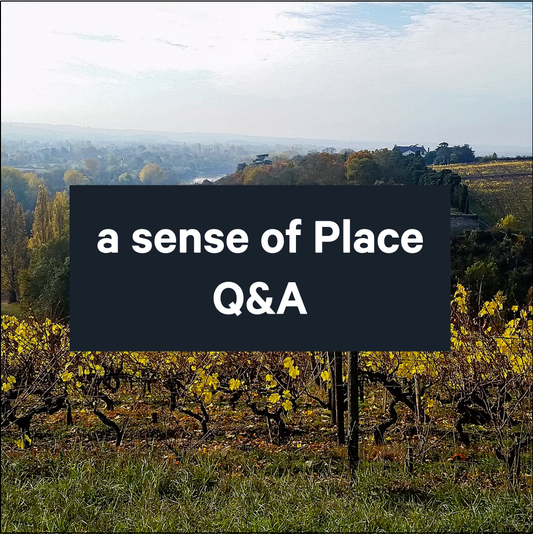 Q&A Shorts: What is Qvevri wine?