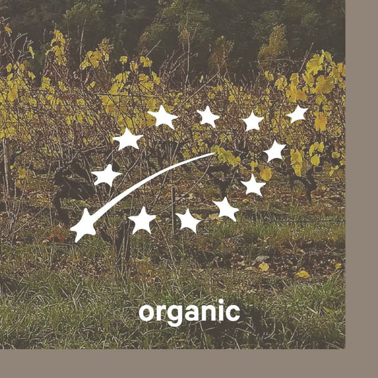 What are organic wines?