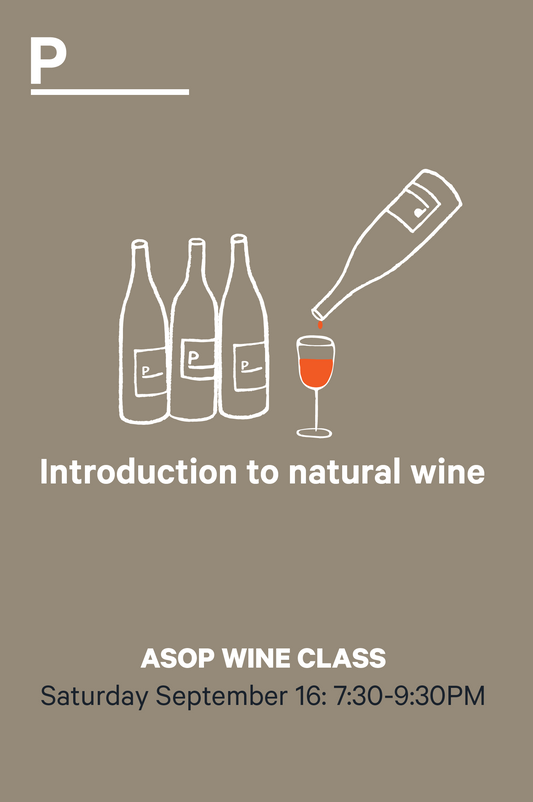 16-9 | ASOP Wine Class: Introduction to Natural Wine